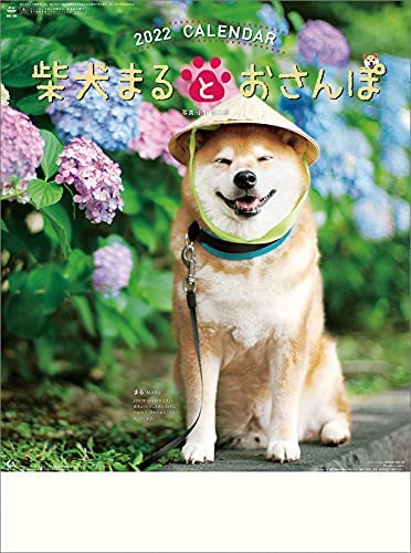 Walk with Shiba Inu Maru 2022 Wall Calendar CL22-392 White