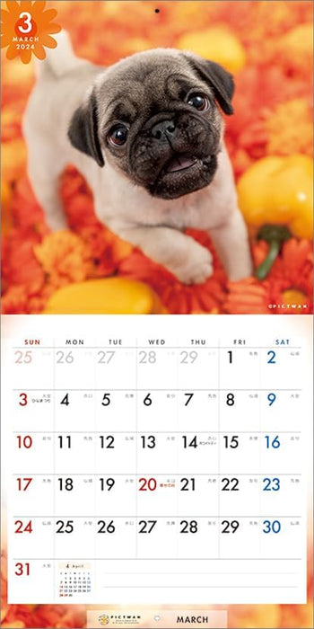 PICTWAN 2024 Calendar S Edition Pug S040