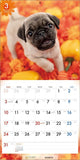 PICTWAN 2024 Calendar S Edition Pug S040