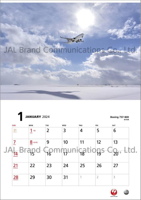 JAL 'FLEET' (Normal Size) 2024 Calendar CL24-1135