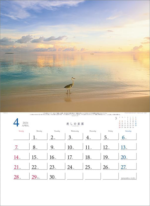 Todan 2024 Wall Calendar Healing Paradise - Kazuyoshi Miyoshi Works Collection CL24-1057