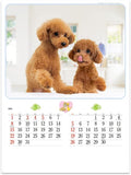 New Japan Calendar 2022 Wall Calendar Charming mate NK49