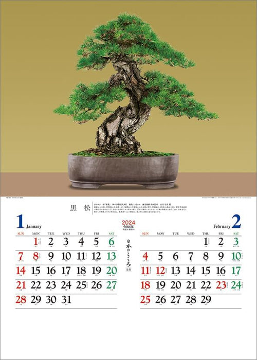 Todan 2024 Wall Calendar Japanese Heart Bonsai CL24-1073