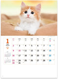 New Japan Calendar 2022 Wall Calendar Thank you! Cat NK455
