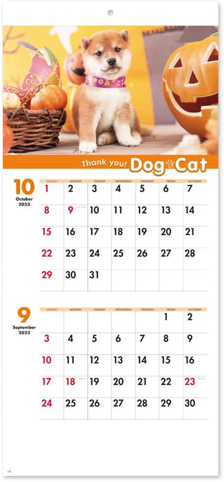 New Japan Calendar 2023 Wall Calendar Thank you! Dog & Cat Moji 2 Months Type NK908