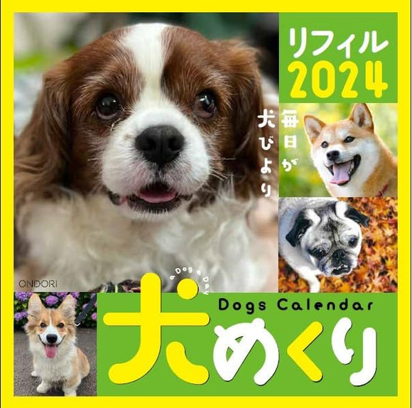 CO2 Dogs 2024 Page-A-Day Calendar Refill CK-D24-01