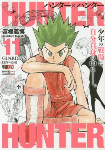 HUNTER x HUNTER 11 GUARDIAN