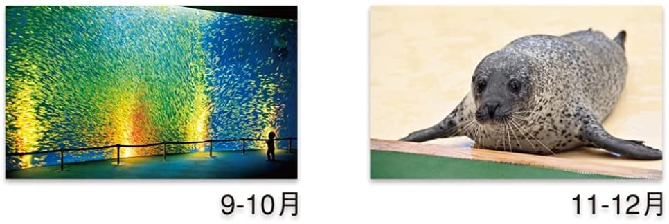 New Japan Calendar 2022 Wall Calendar Healing Aquarium NK928