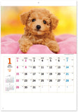 New Japan Calendar 2023 Wall Calendar Thank you! Dog NK454