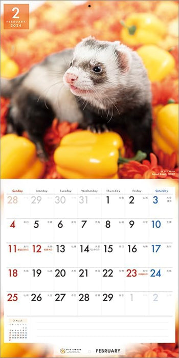 PICTWAN 2024 Calendar L Edition Ferret L033