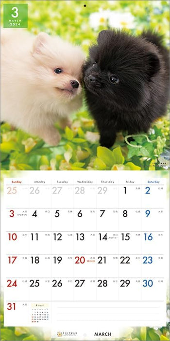 PICTWAN 2024 Calendar L Edition Pomeranian L019