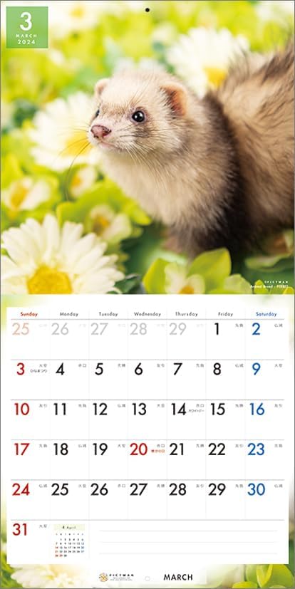 PICTWAN 2024 Calendar L Edition Ferret L033