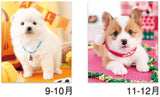 New Japan Calendar 2022 Wall Calendar Friendly Dogs NK24
