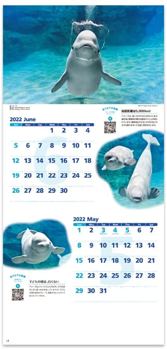 New Japan Calendar 2022 Wall Calendar Healing Aquarium NK928