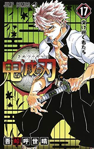 Demon Slayer: Kimetsu no Yaiba 17 - Japanese Book Store