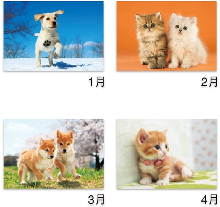 New Japan Calendar 2022 Wall Calendar Little Friends NK90