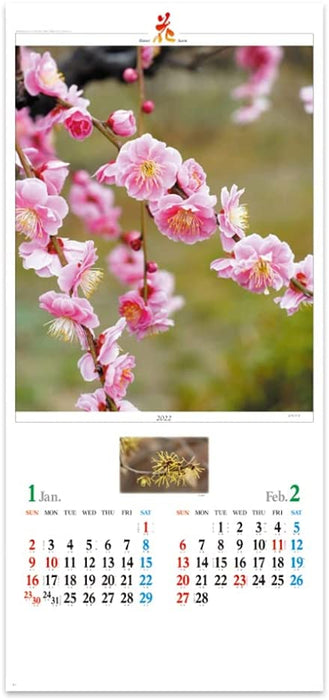 New Japan Calendar 2022 Wall Calendar Flower Scene NK494