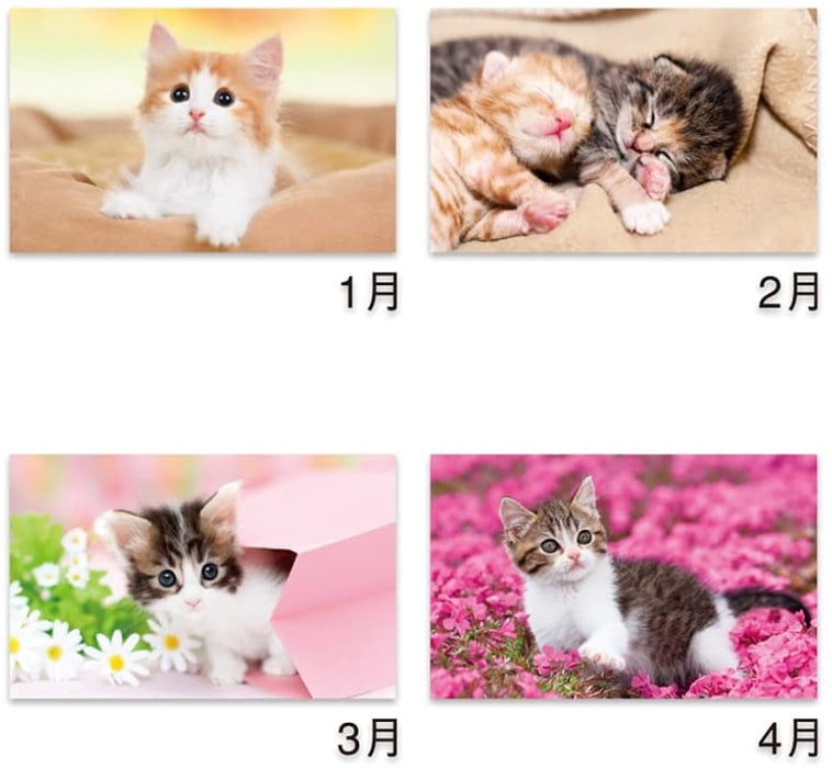 New Japan Calendar 2022 Wall Calendar Thank you! Cat NK455