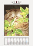 2023 Big Comic Original Makoto Muramatsu Cat Calendar