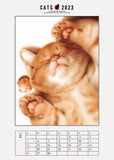 2023 Big Comic Original Makoto Muramatsu Cat Calendar