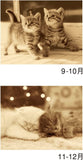 New Japan Calendar 2023 Wall Calendar Hello Cats NK27