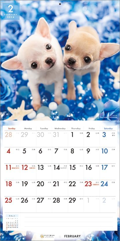 PICTWAN 2024 Calendar L Edition Chihuahua L008 – Japanese Book Store