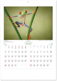 New Japan Calendar 2023 Wall Calendar Animal World NK490