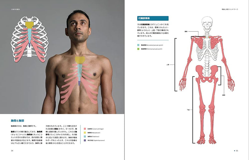 Anatomy for Artists: A visual guide to the human form Japanese Edition