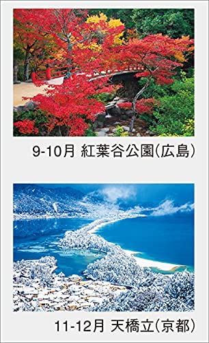 Beautiful Japan 2022 Wall Calendar CL22-1057 White