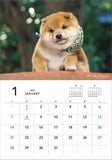 Hagoromo Mamesuke Selection 2024 Wall Calendar CL24-0390