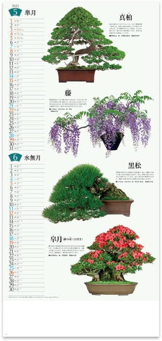 New Japan Calendar 2022 Wall Calendar Bonsai Calendar NK152