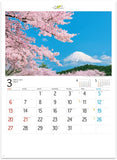 New Japan Calendar 2022 Wall Calendar Forever Japan NK142