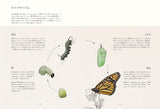 Butterflies and Moths Inhabiting This Earth Sensational Butterflies