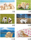 New Japan Calendar 2023 Wall Calendar Little Friends NK90