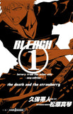 BLEACH letters from the other side -new edition-