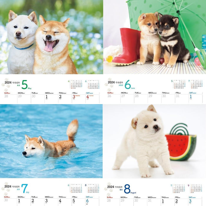 JTB Calendar Wanko 2024 Wall Calendar