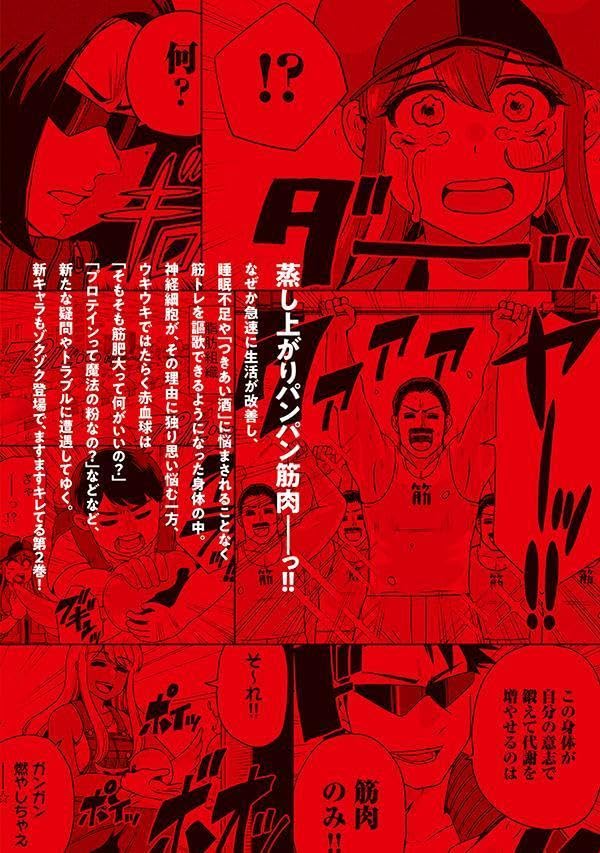 Cells at Work! (Hataraku Saibou) Muscle 2
