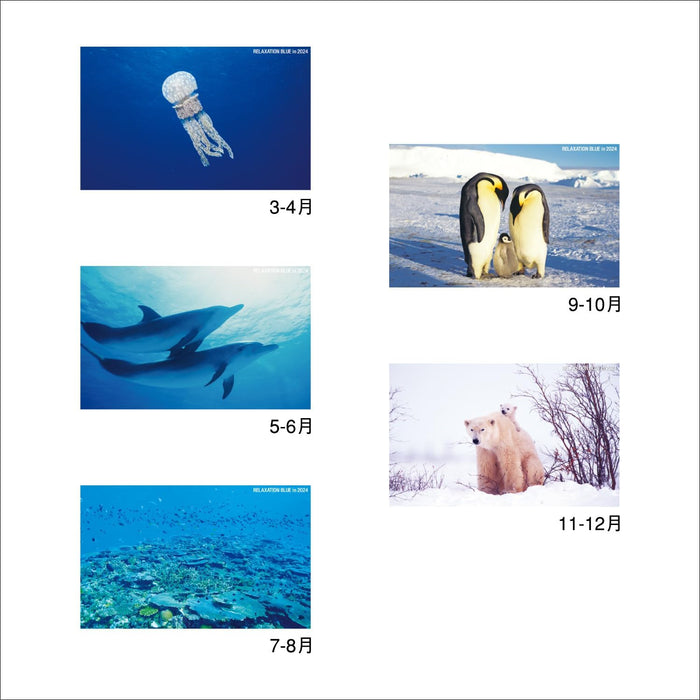 New Japan Calendar 2024 Wall Calendar Relaxation Blue NK32