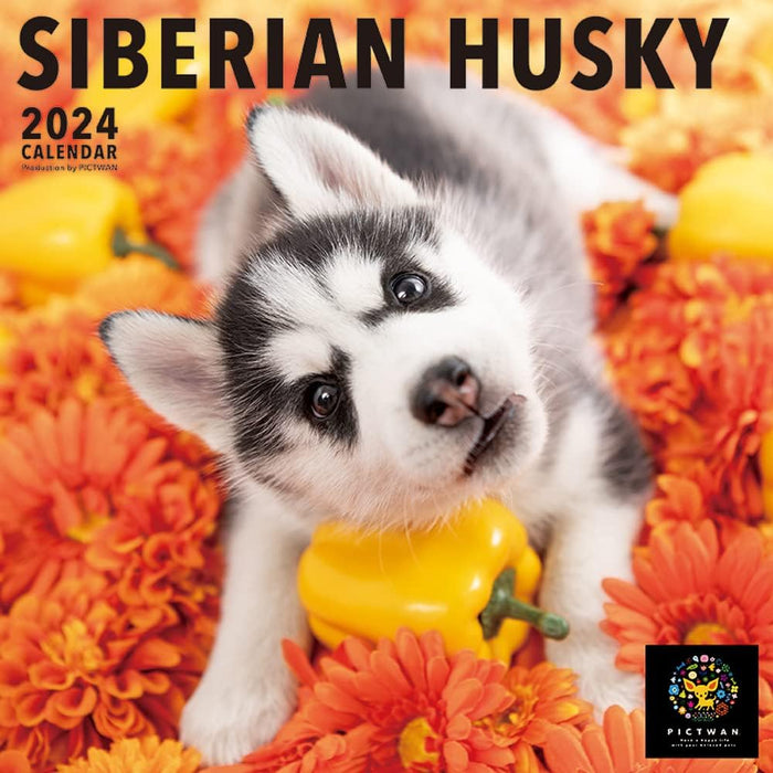 PICTWAN 2024 Calendar L Edition Siberian Husky L026