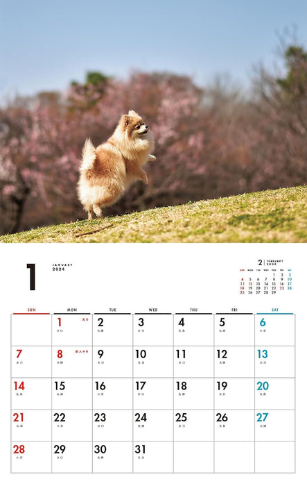 I LOVE Pomeranians Calendar 2024(Monthly/Wall Calendar)