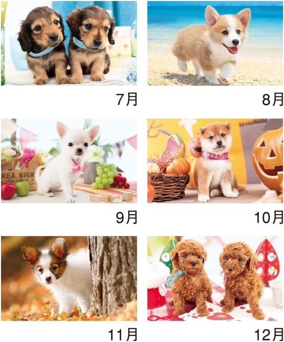 New Japan Calendar 2023 Wall Calendar Thank you! Dog NK454