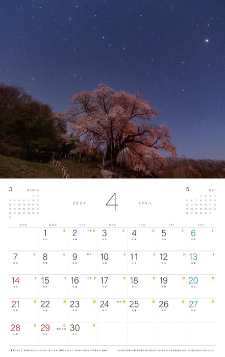 Landscape with Starry Sky Calendar 2024