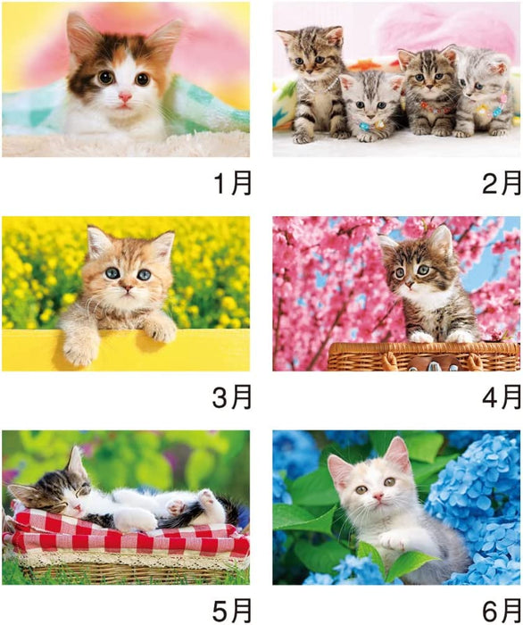 New Japan Calendar 2023 Wall Calendar Thank you! Cat NK455