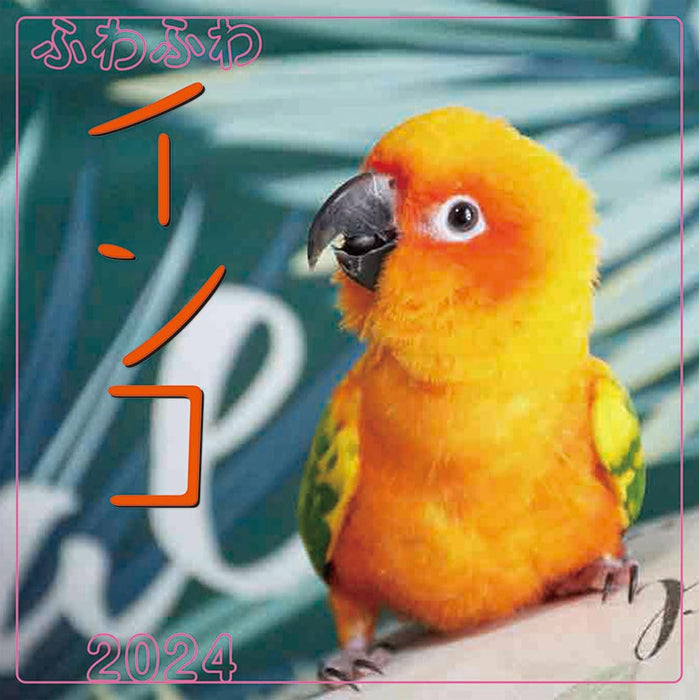 Try-X 2024 Wall Calendar Fluffy Parakeet CL-386 48x24cm