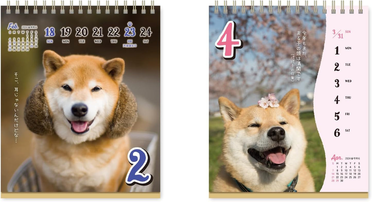 New Japan Calendar 2024 Desk Calendar Shiba Inu Maru's Chatter Weekly Flip NK4308