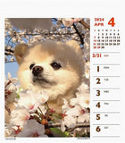 2024 Shunsuke (Weekly Mini) Calendar No.049