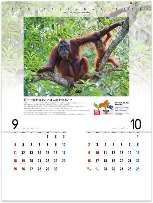 New Japan Calendar 2022 Wall Calendar Eco Calendar NK114