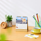 New Japan Calendar 2024 Desk Walk with Shiba Inu Maru Calendar CL24-0393