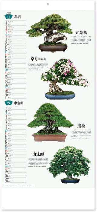 New Japan Calendar 2023 Wall Calendar Bonsai Calendar NK152