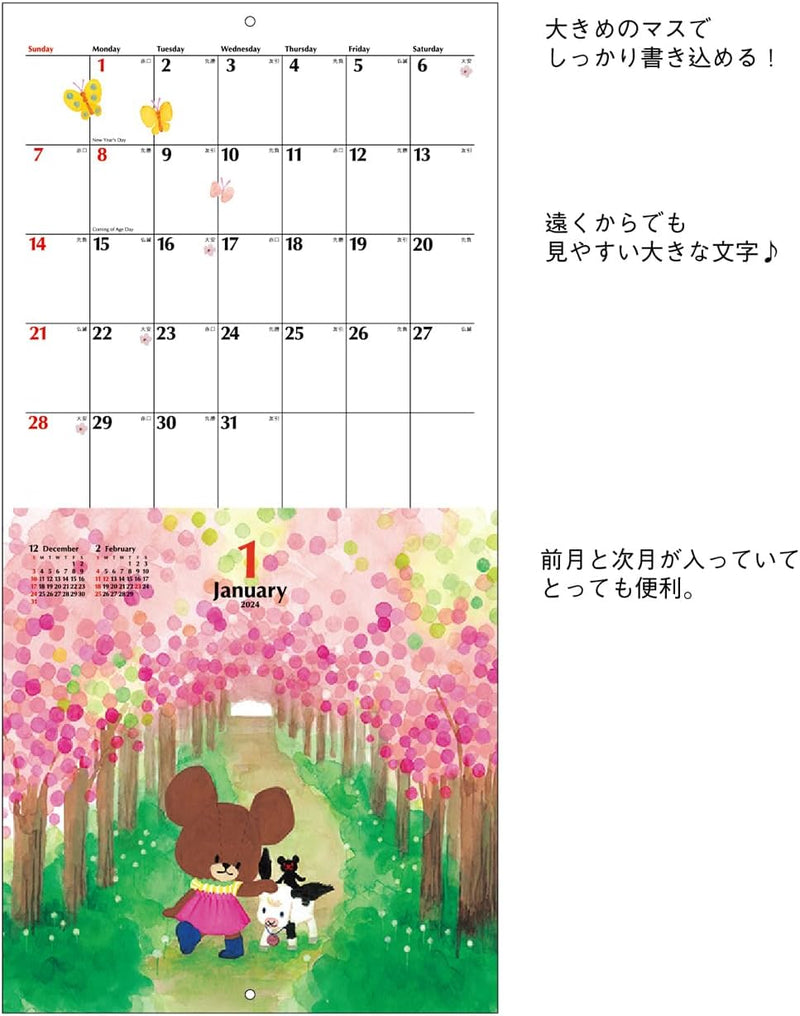Square The Bear's School (kuma no Gakkou) 2024 Wall Calendar Ivory KCA-1